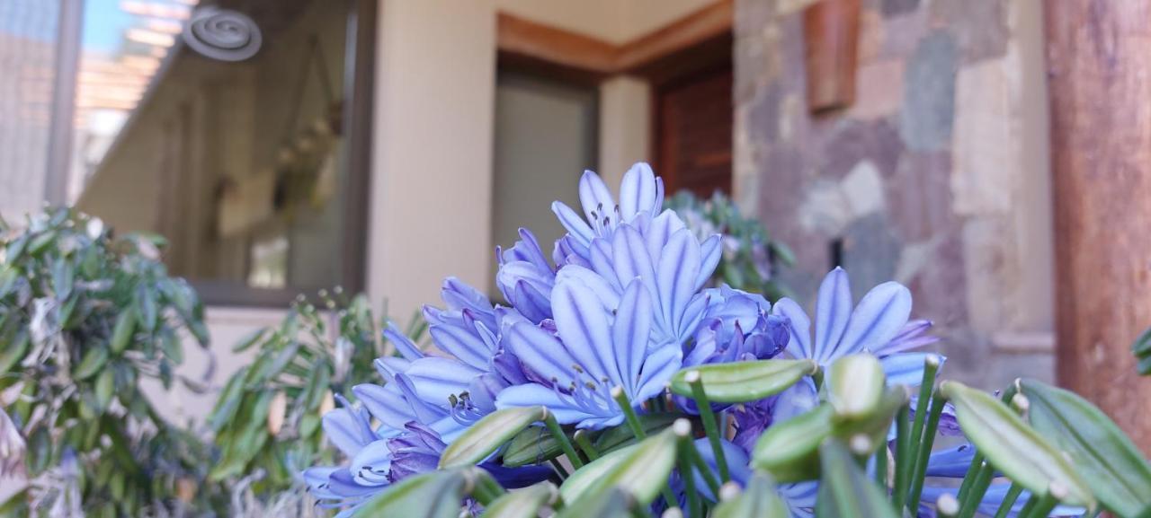 Hotel Tulmas Tilcara Zewnętrze zdjęcie